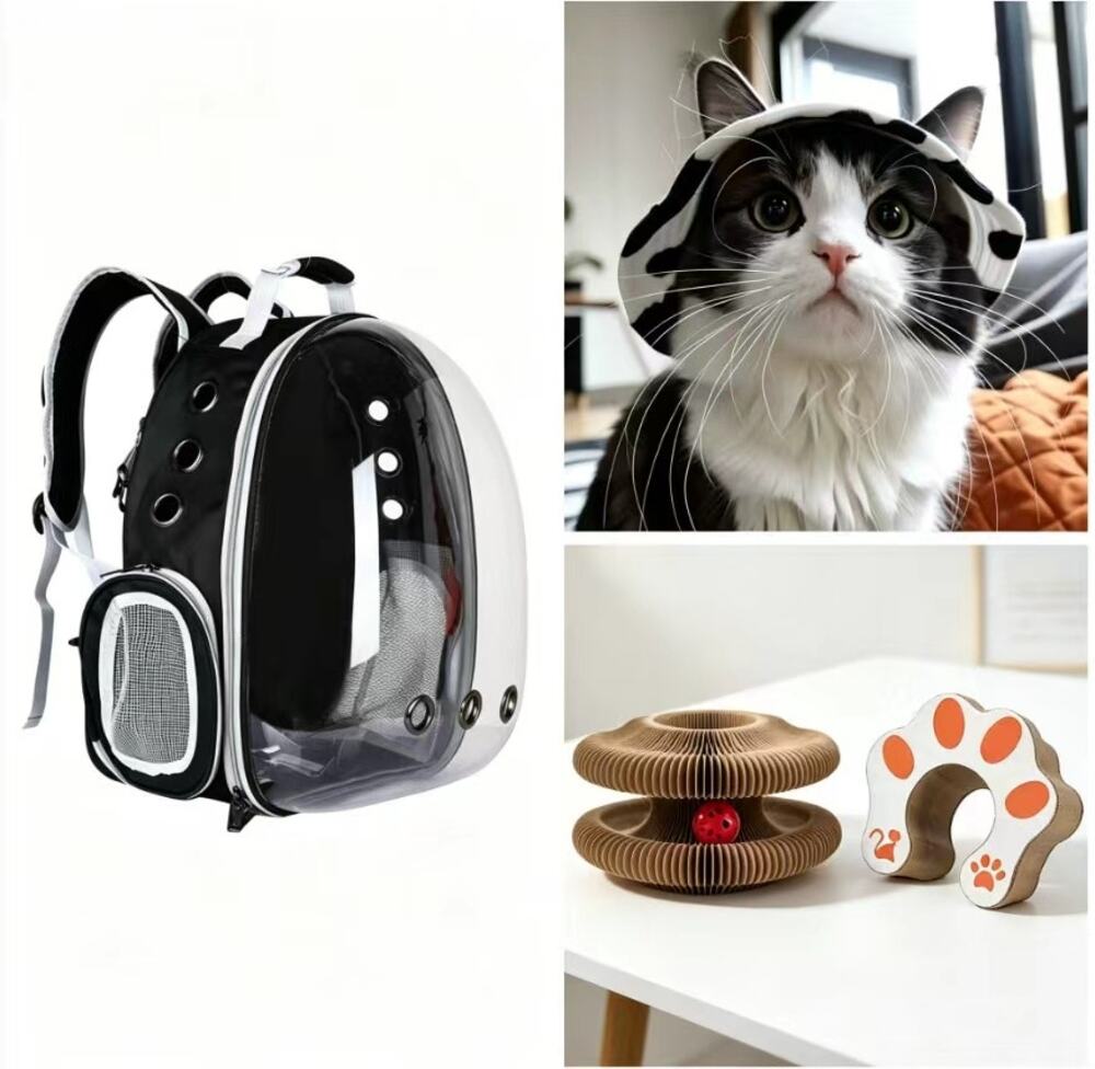 3Pcs Kitten Travel Set Space Capsule Cat Backpack Pet Hat Rolling Ball Scratcher